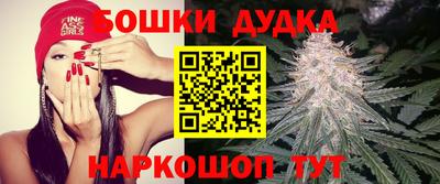 шишки Кимры