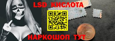 шишки Кимры