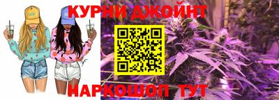 шишки Кимры