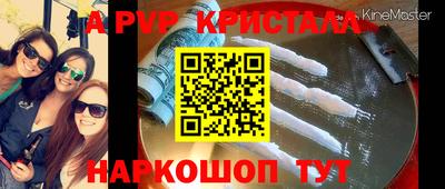 шишки Кимры