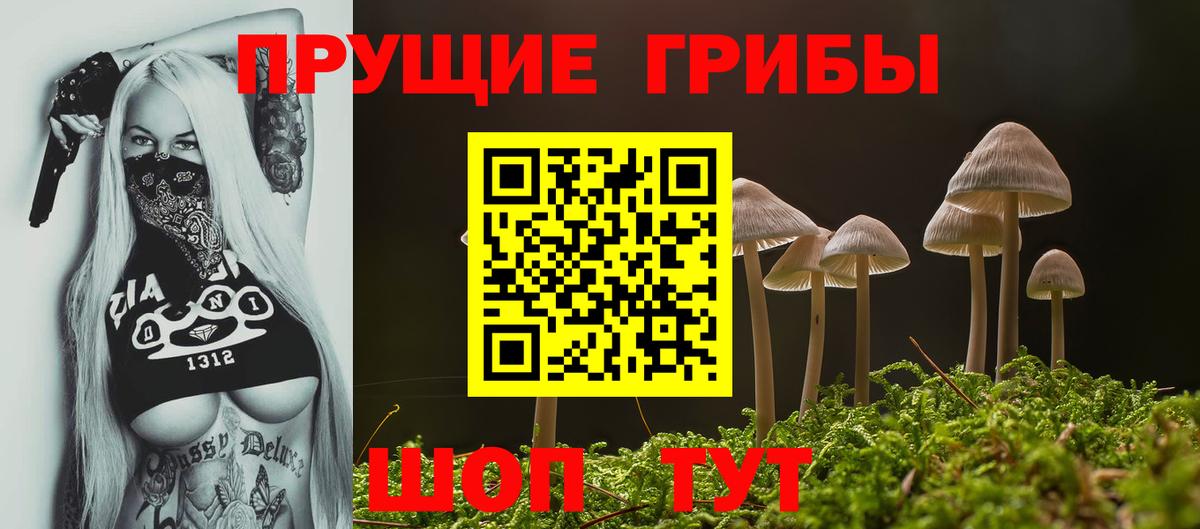 Кувандык  Псилоцибиновые грибы прущие грибы  Вход с VPN  Псилоцибиновые грибы Psilocybe 