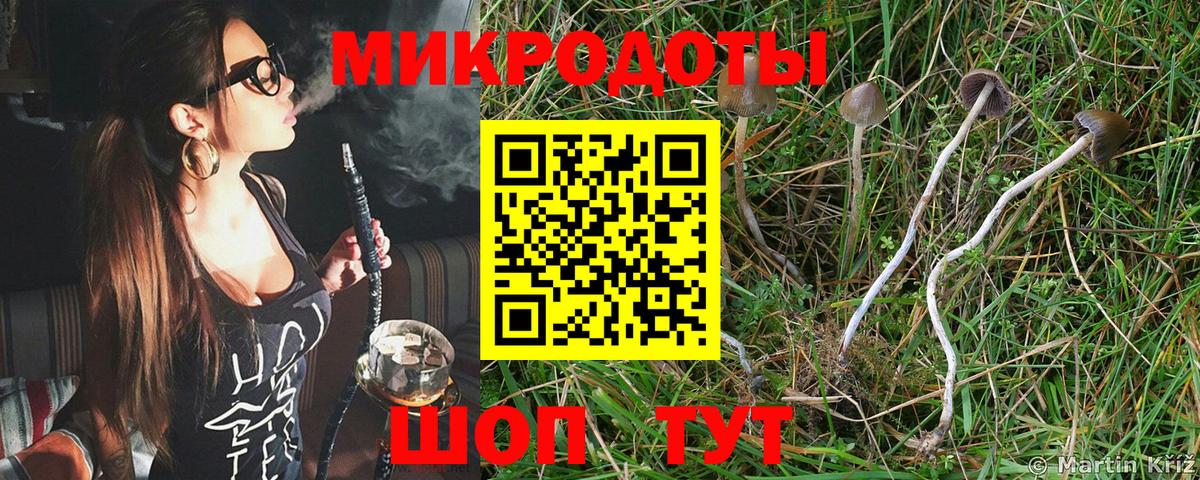 Галлюциногенные грибы Psilocybine cubensis Кувандык